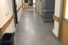Yale_reno_7