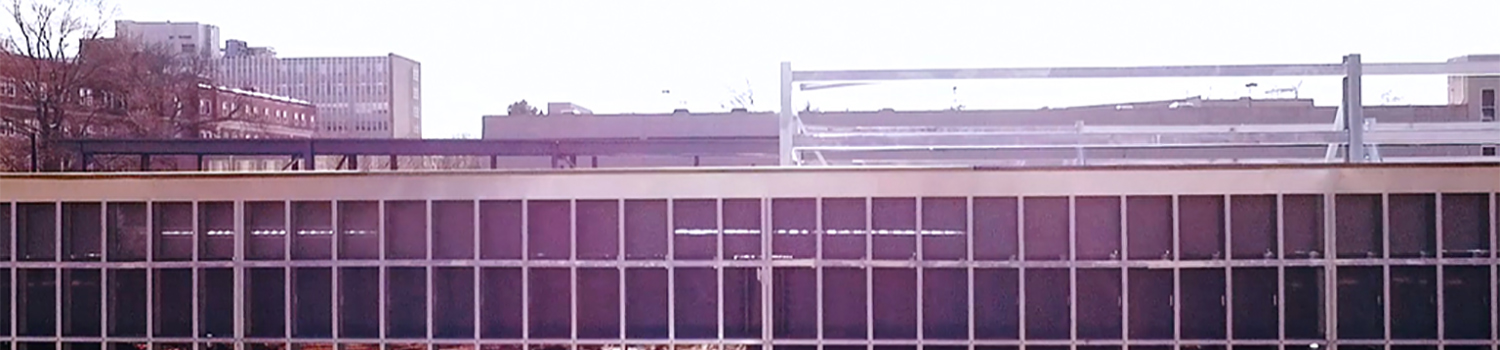 FAQ-Header FAQ-Header